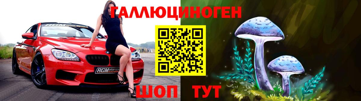 Гусев  Псилоцибиновые грибы Psilocybine cubensis  Вход с VPN 
